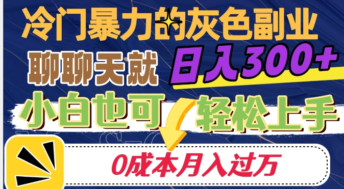冷门暴利的副业项目，聊聊天就能日入300+，0成本月入过万【揭秘】-灵动共创