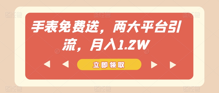 手表免费送，两大平台引流，月入1.2W【揭秘】-灵动共创