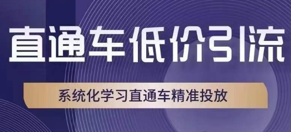 直通车低价引流课，系统化学习直通车精准投放-灵动共创