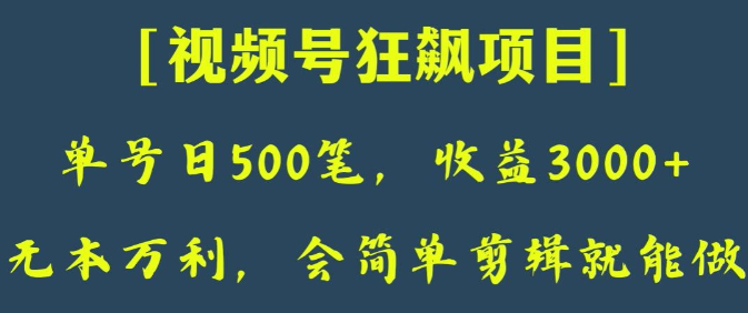 日收款500笔，纯利润3000+，视频号狂飙项目，会简单剪辑就能做【揭秘】-灵动共创