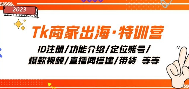 Tk商家出海·特训营：ID注册/功能介绍/定位账号/爆款视频/直播间搭建/带货-灵动共创