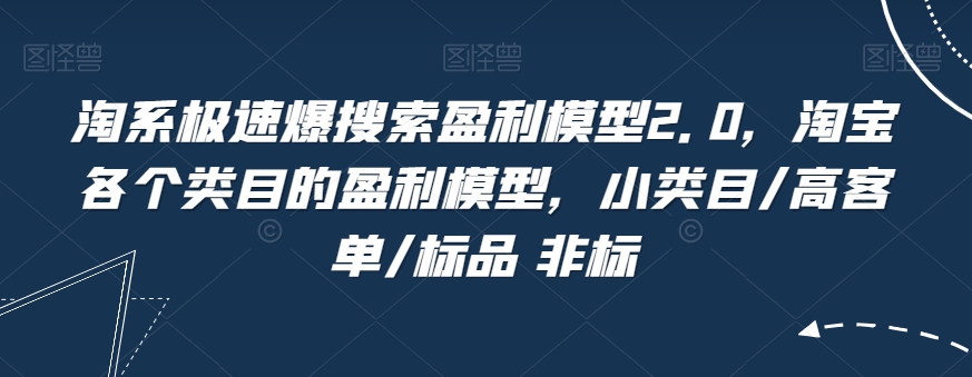 淘系极速爆搜索盈利模型2.0，淘宝各个类目的盈利模型，小类目/高客单/标品 非标-灵动共创