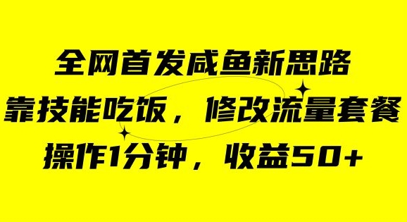 咸鱼冷门新玩法，靠“技能吃饭”，修改流量套餐，操作1分钟，收益50【揭秘】-灵动共创