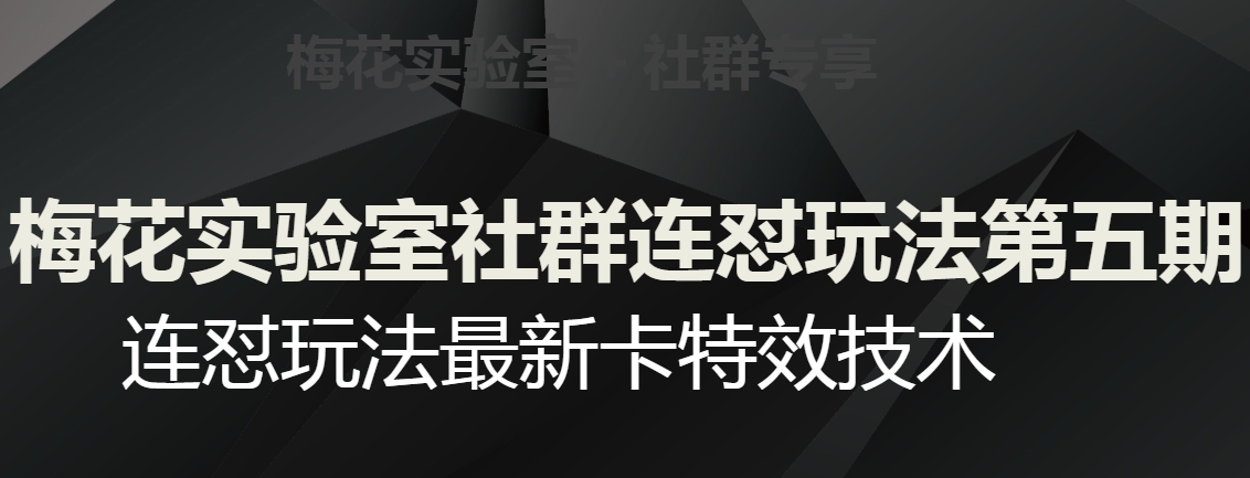 梅花实验室社群连怼玩法第五期，视频号连怼玩法最新卡特效技术-灵动共创