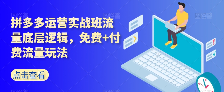 拼多多运营实战班流量底层逻辑，免费+付费流量玩法-灵动共创