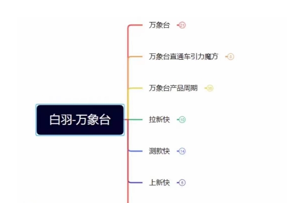 白羽·直引万搜索全篇，从0-1，多个类目实操经验总结付费-灵动共创