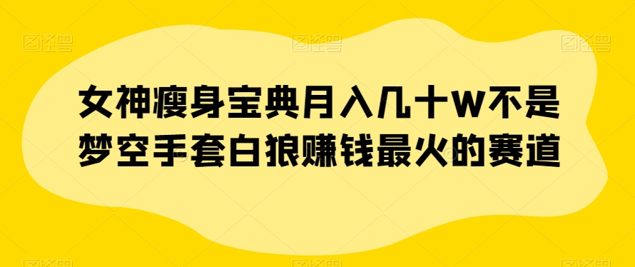 女神瘦身宝典月入几十W不是梦空手套白狼赚钱最火的赛道【揭秘】-灵动共创