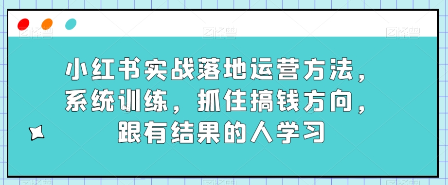 小红书实战落地运营方法，系统训练，抓住搞钱方向，跟有结果的人学习-灵动共创