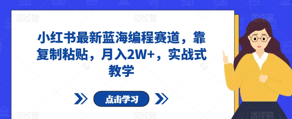 小红书最新蓝海编程赛道，靠复制粘贴，月入2W+，实战式教学【揭秘】-灵动共创