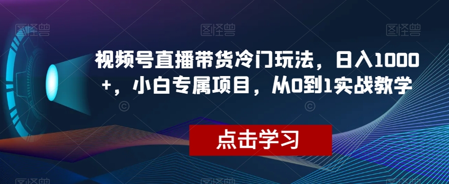 视频号直播带货冷门玩法，日入1000+，小白专属项目，从0到1实战教学【揭秘】-灵动共创