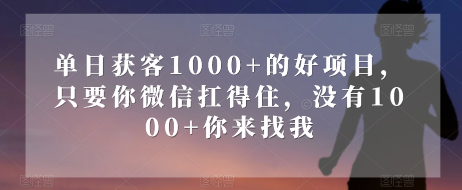 单日获客1000+的好项目，只要你微信扛得住，没有1000+你来找我【揭秘】-灵动共创