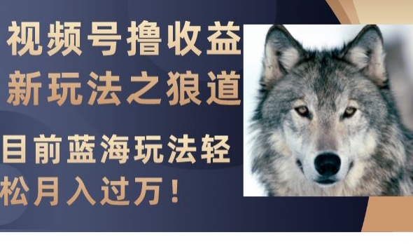 视频号撸收益新玩法之狼道，目前蓝海玩法，轻松月入过万【揭秘】-灵动共创