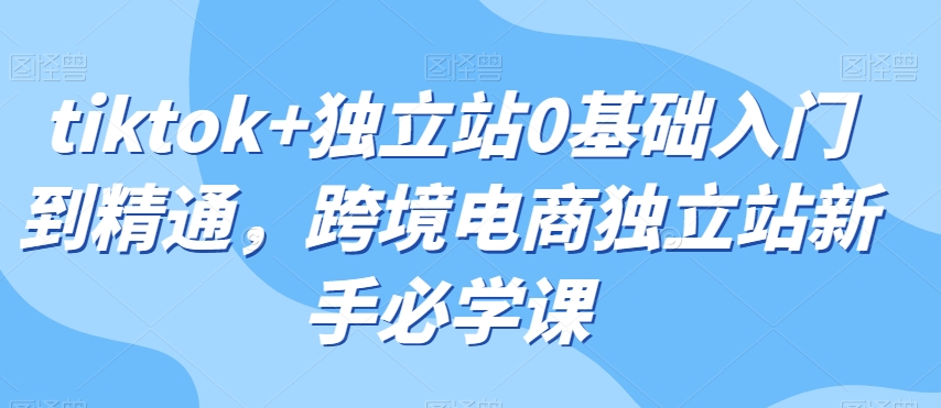 tiktok+独立站0基础入门到精通，跨境电商独立站新手必学课-灵动共创