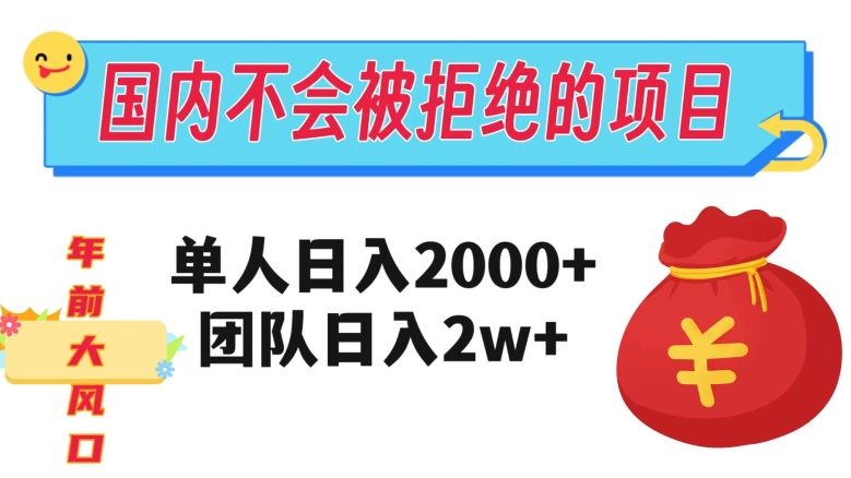 在国内不怕被拒绝的项目，单人日入2000，团队日入20000+【揭秘】-灵动共创