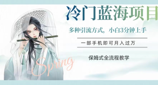 冷门蓝海项目，操作简单，小白3分钟上手，多种引流方式，保姆式全流程教学【揭秘】-灵动共创