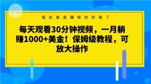 每天观看30分钟视频，一月躺赚1000+美金！保姆级教程，可放大操作【揭秘】-灵动共创
