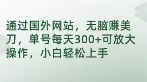 通过国外网站，无脑赚美刀，单号每天300+可放大操作，小白轻松上手【揭秘】-灵动共创