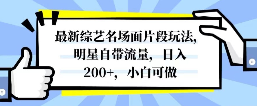 最新综艺名场面片段玩法，明星自带流量，日入200+，小白可做【揭秘】-灵动共创