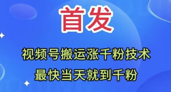 全网首发：视频号无脑搬运涨千粉技术，最快当天到千粉【揭秘】-灵动共创