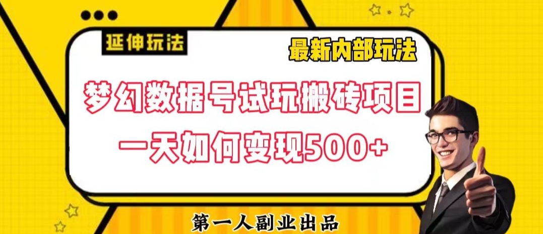 数据号回归玩法游戏试玩搬砖项目再创日入500+【揭秘】-灵动共创