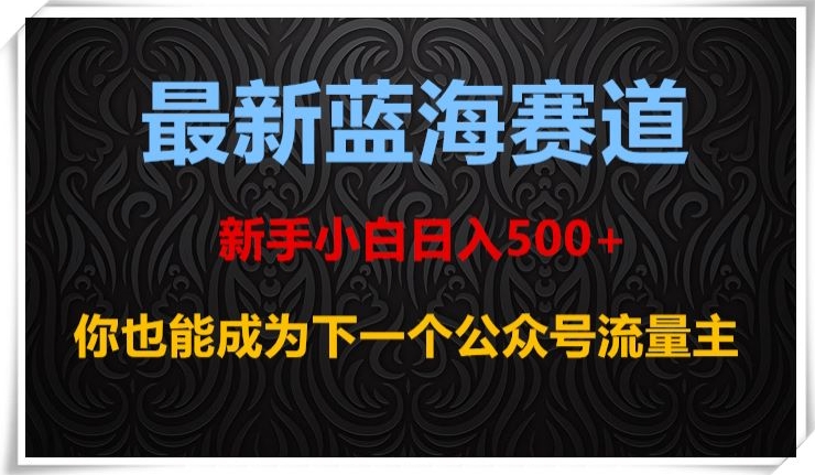 最新蓝海赛道，新手小白日入500+，你也能成为下一个公众号流量主【揭秘】-灵动共创