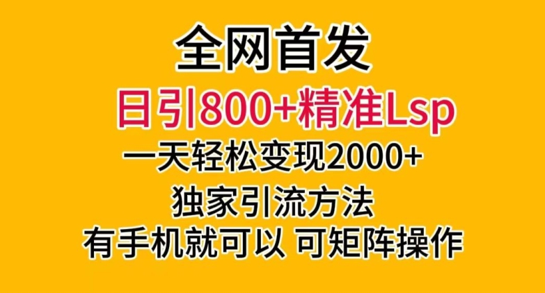 全网首发！日引800+精准老色批，一天变现2000+，独家引流方法，可矩阵操作【揭秘】-灵动共创