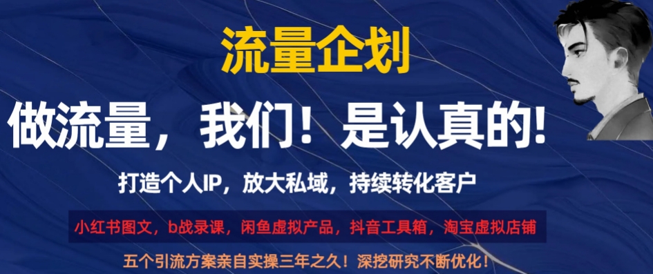 流量企划，打造个人IP，放大私域，持续转化客户【揭秘】-灵动共创