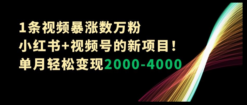 1条视频暴涨数万粉–小红书+视频号的新项目！单月轻松变现2000-4000【揭秘】-灵动共创