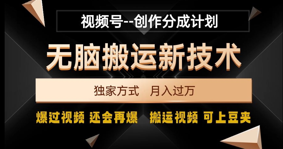 视频号无脑搬运新技术，破原创壕流量，独家方式，爆过视频，还会再爆【揭秘】-灵动共创