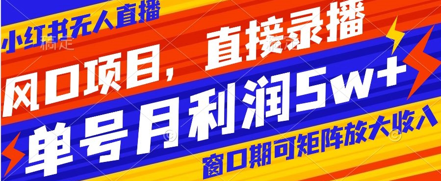 风口项目，小红书无人直播带货，直接录播，可矩阵，月入5w+【揭秘】-灵动共创