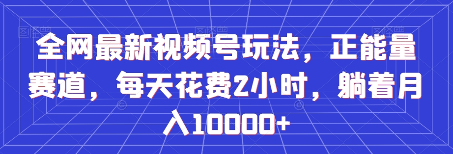 全网最新视频号玩法，正能量赛道，每天花费2小时，躺着月入10000+【揭秘】-灵动共创