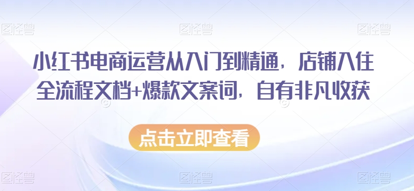 小红书电商运营从入门到精通，店铺入住全流程文档+爆款文案词，自有非凡收获-灵动共创