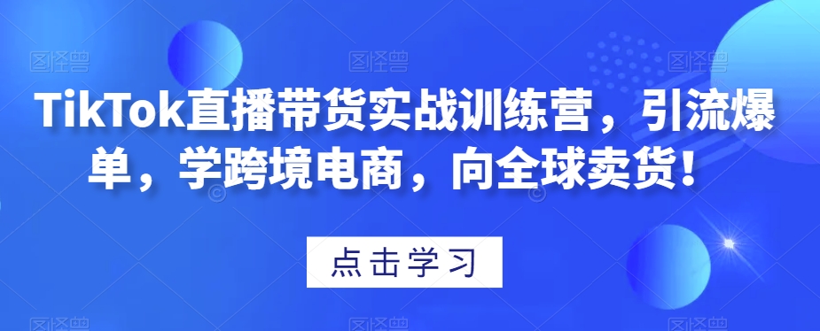 TikTok直播带货实战训练营，引流爆单，学跨境电商，向全球卖货！-灵动共创