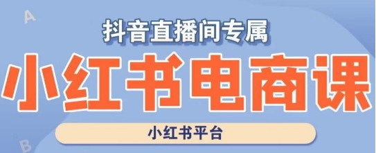 小红书电商高级运营课程，实操教学+案例分析-灵动共创