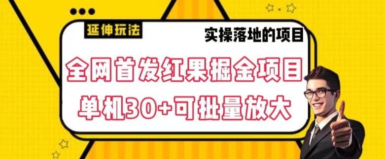 全网首发红果免费短剧掘金项目，单机30+可批量放大【揭秘】-灵动共创