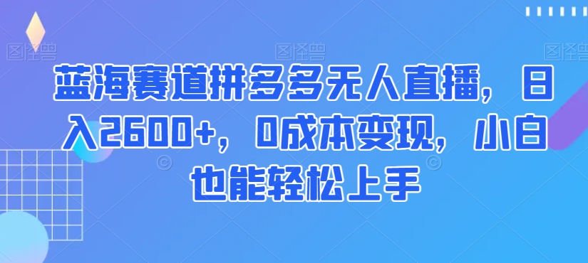 蓝海赛道拼多多无人直播，日入2600+，0成本变现，小白也能轻松上手【揭秘】-灵动共创