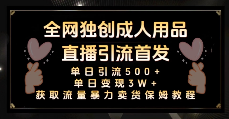 全网独创真人主播+无人直播单日引流500+，橙人用品暴力卖货单日变现3W+保姆似教学2.0【揭秘】-灵动共创