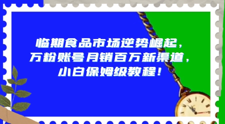 临期食品市场逆势崛起，万粉账号月销百万新渠道，小白保姆级教程【揭秘】-灵动共创