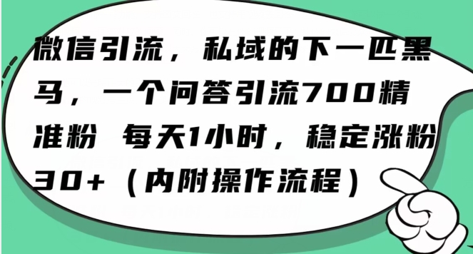 怎么搞精准创业粉？微信新赛道，每天一小时，利用Ai一个问答日引100精准粉-灵动共创