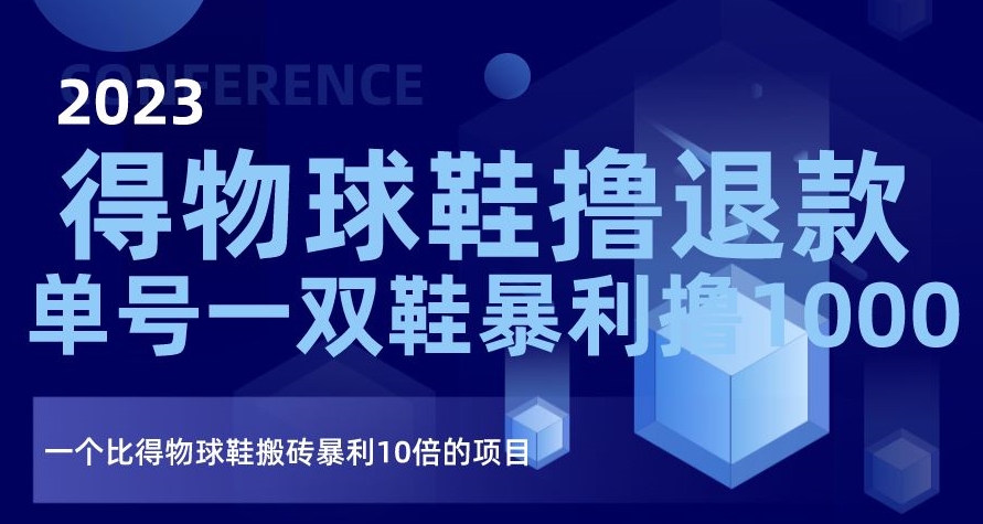 2023得物球鞋撸退款，单号一双鞋暴利撸1000，一个比得物球鞋搬砖暴利10倍的项目【揭秘】-灵动共创