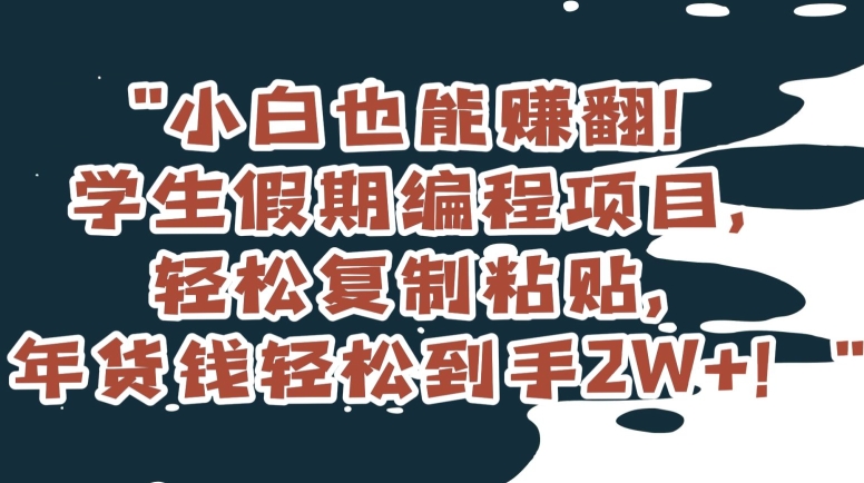 小白也能赚翻！学生假期编程项目，轻松复制粘贴，年货钱轻松到手2W+【揭秘】-灵动共创