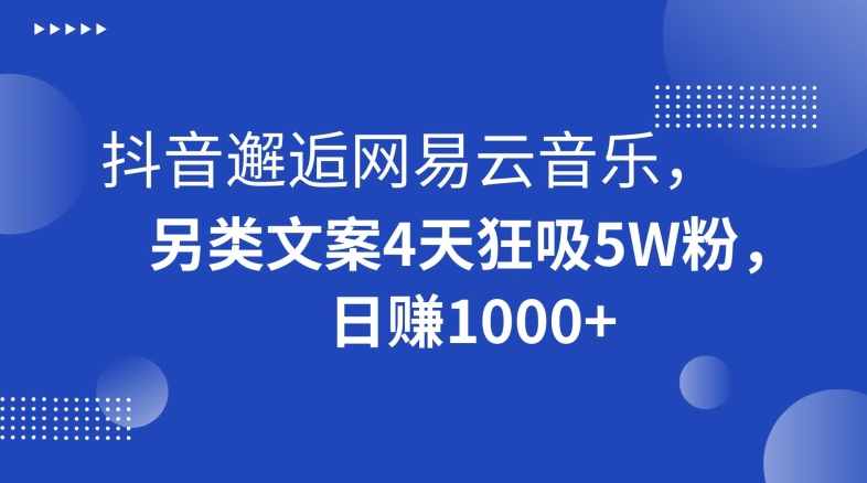 抖音邂逅网易云音乐，另类文案4天狂吸5W粉，日赚1000+【揭秘】-灵动共创