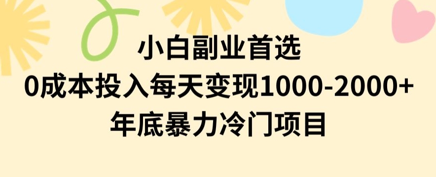 小白副业首选，0成本投入，每天变现1000-2000年底暴力冷门项目【揭秘】-灵动共创