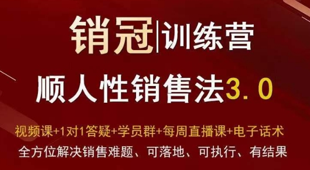 爆款！销冠训练营3.0之顺人性销售法，全方位解决销售难题、可落地、可执行、有结果-灵动共创