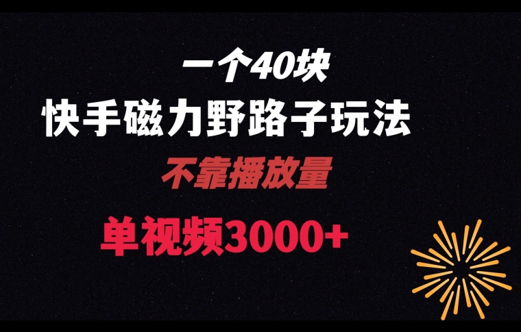 一个40块，快手联合美团磁力新玩法，无视机制野路子玩法，单视频收益4位数【揭秘】-灵动共创