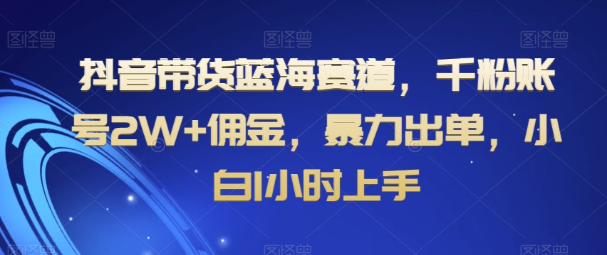 抖音带货蓝海赛道，千粉账号2W+佣金，暴力出单，小白1小时上手【揭秘】-灵动共创