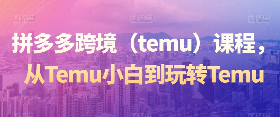 拼多多跨境（temu）课程，从Temu小白到玩转Temu-灵动共创