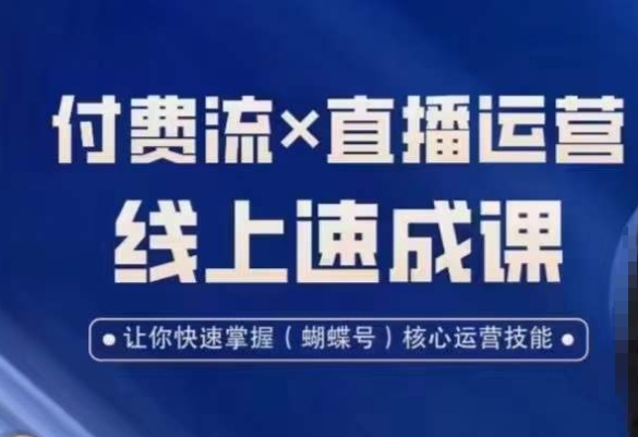 视频号付费流实操课程，付费流✖️直播运营速成课，让你快速掌握视频号核心运营技能-灵动共创