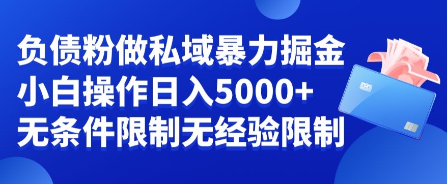负债粉私域暴力掘金，小白操作入5000，无经验限制，无条件限制【揭秘】-灵动共创