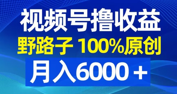 视频号野路子撸收益，100%原创，条条爆款，月入6000＋【揭秘】-灵动共创